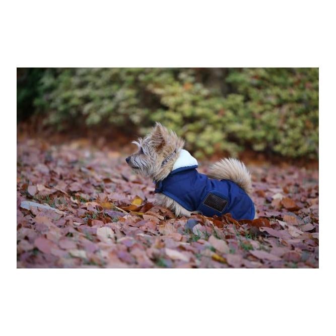 Hundemantel Original - marine Hundemantel Original - marine