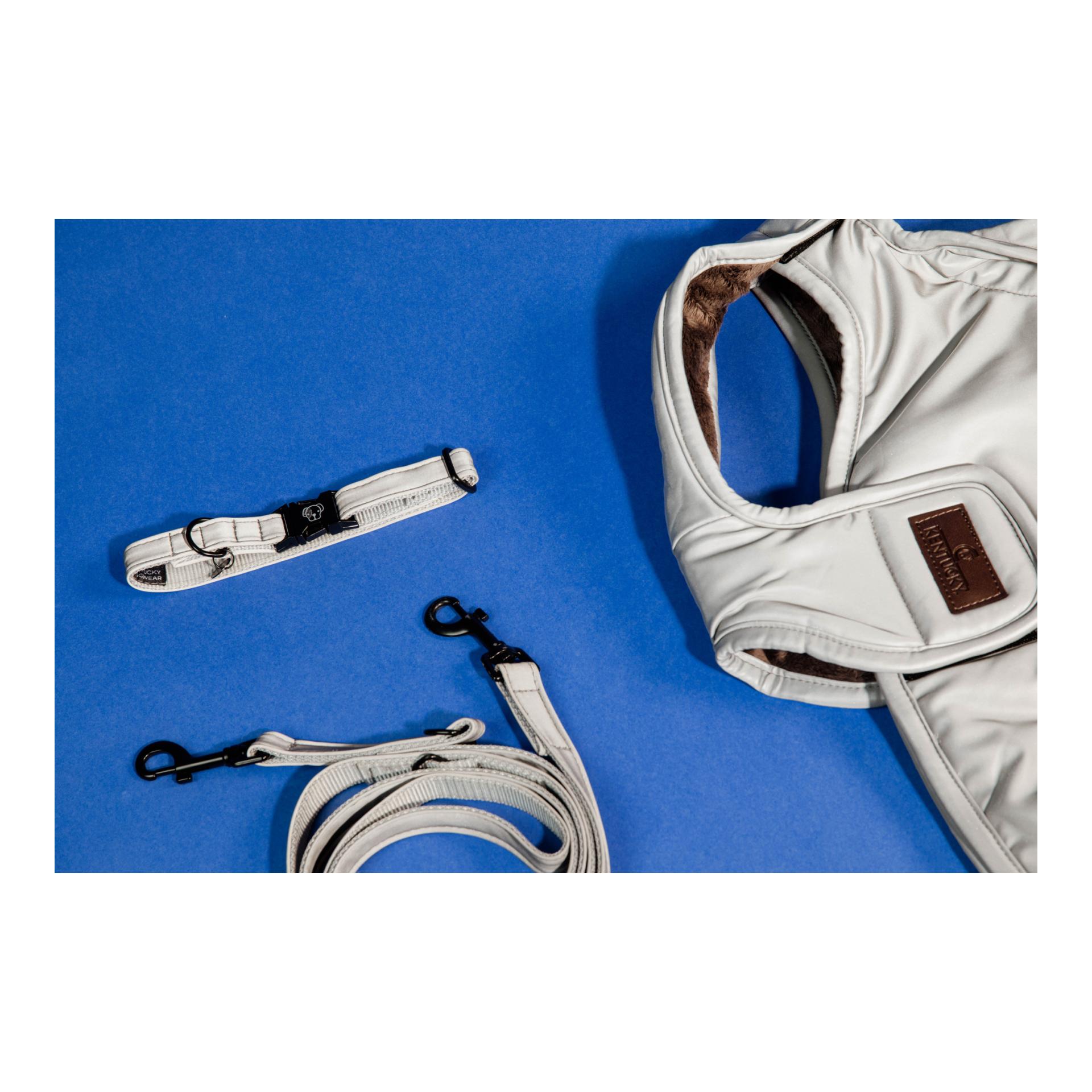 Hundehalsband Reflective - silber