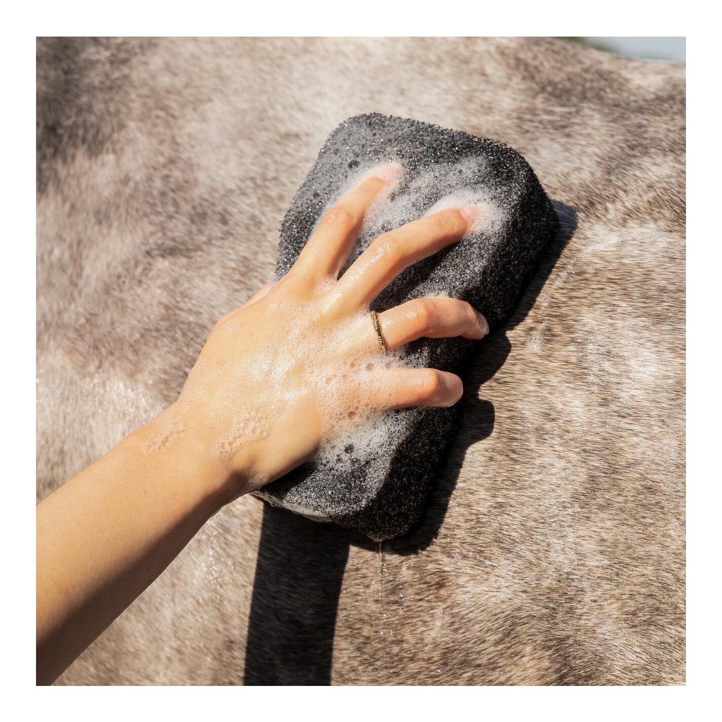 QHP Equi Super Shiner - Éponge pour cheval – nettoyage du pelage