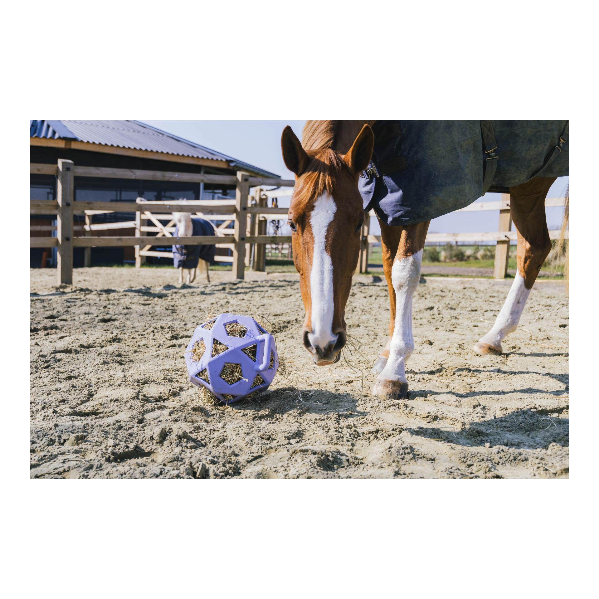 Relax Horse Spiel & Heuball Relax Horse Spiel & Heuball
