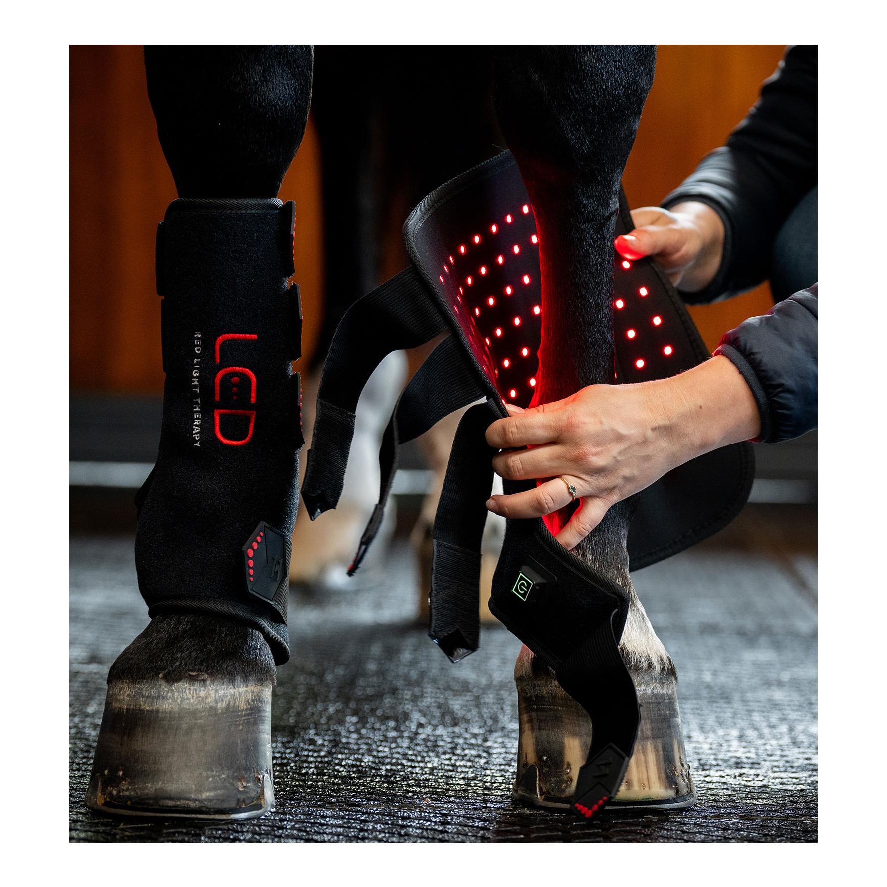 Horseware Gamache thérapeutique LED LED lumière rouge - Full