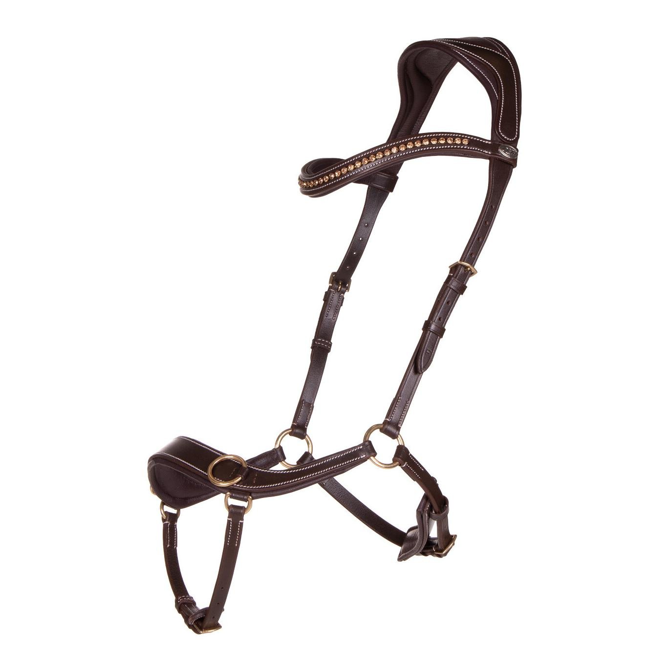 Bridon sans mors anatomique