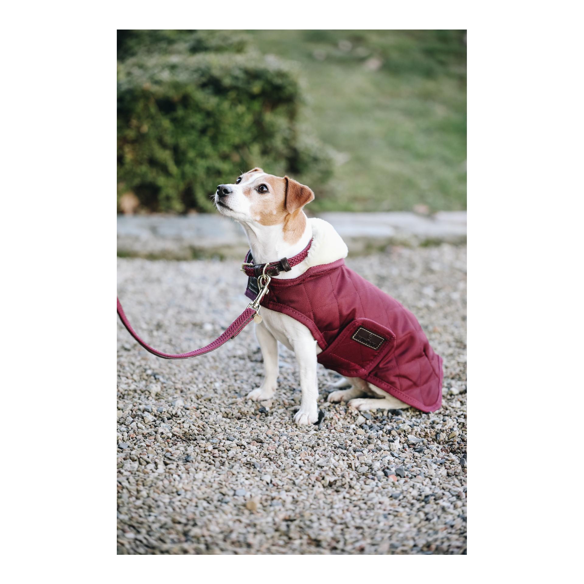 Hundeleine Nylon geflochten - bordeaux Hundeleine Nylon geflochten - bordeaux