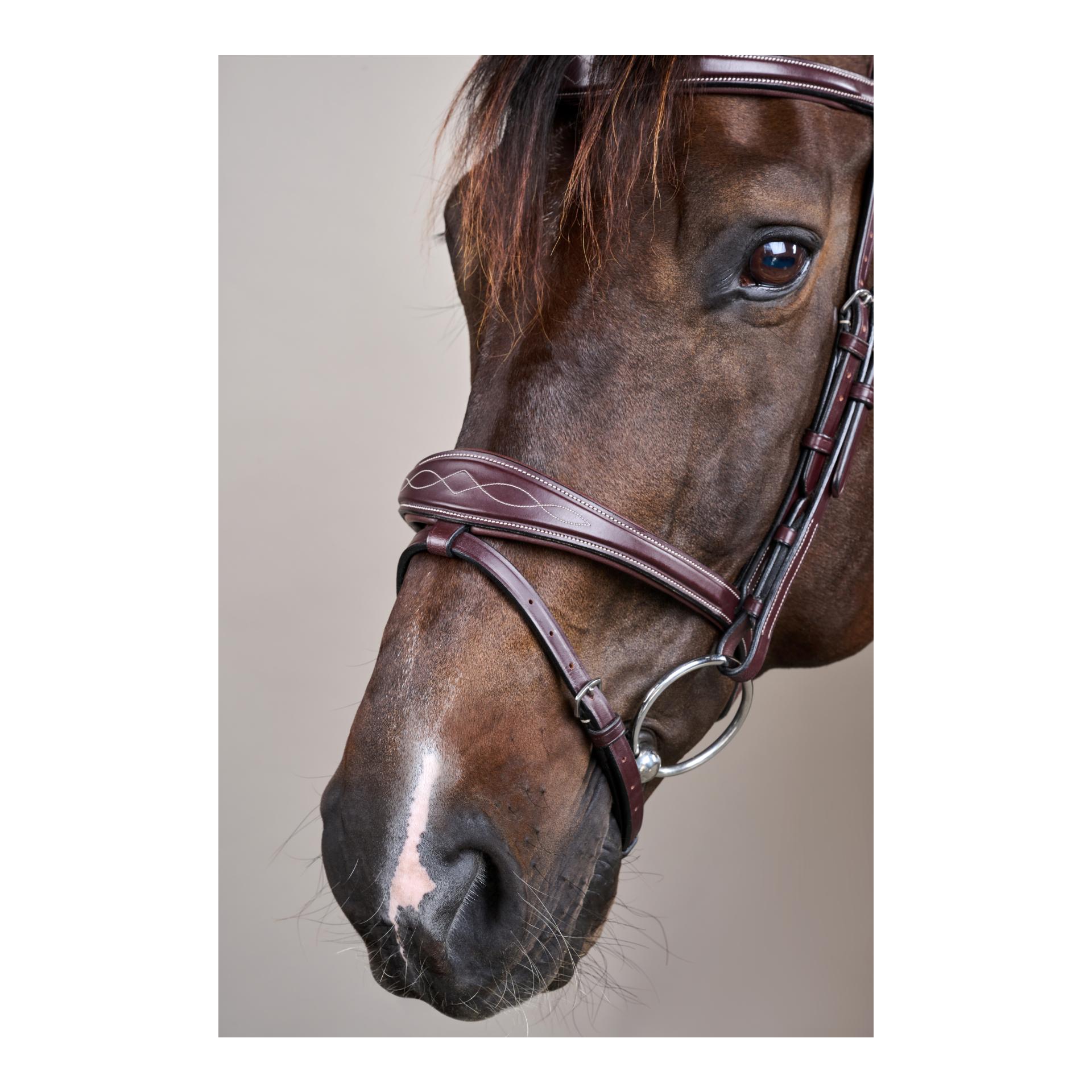 Dy'on Anatomische Trense mit kombiniertem Reithalfter US