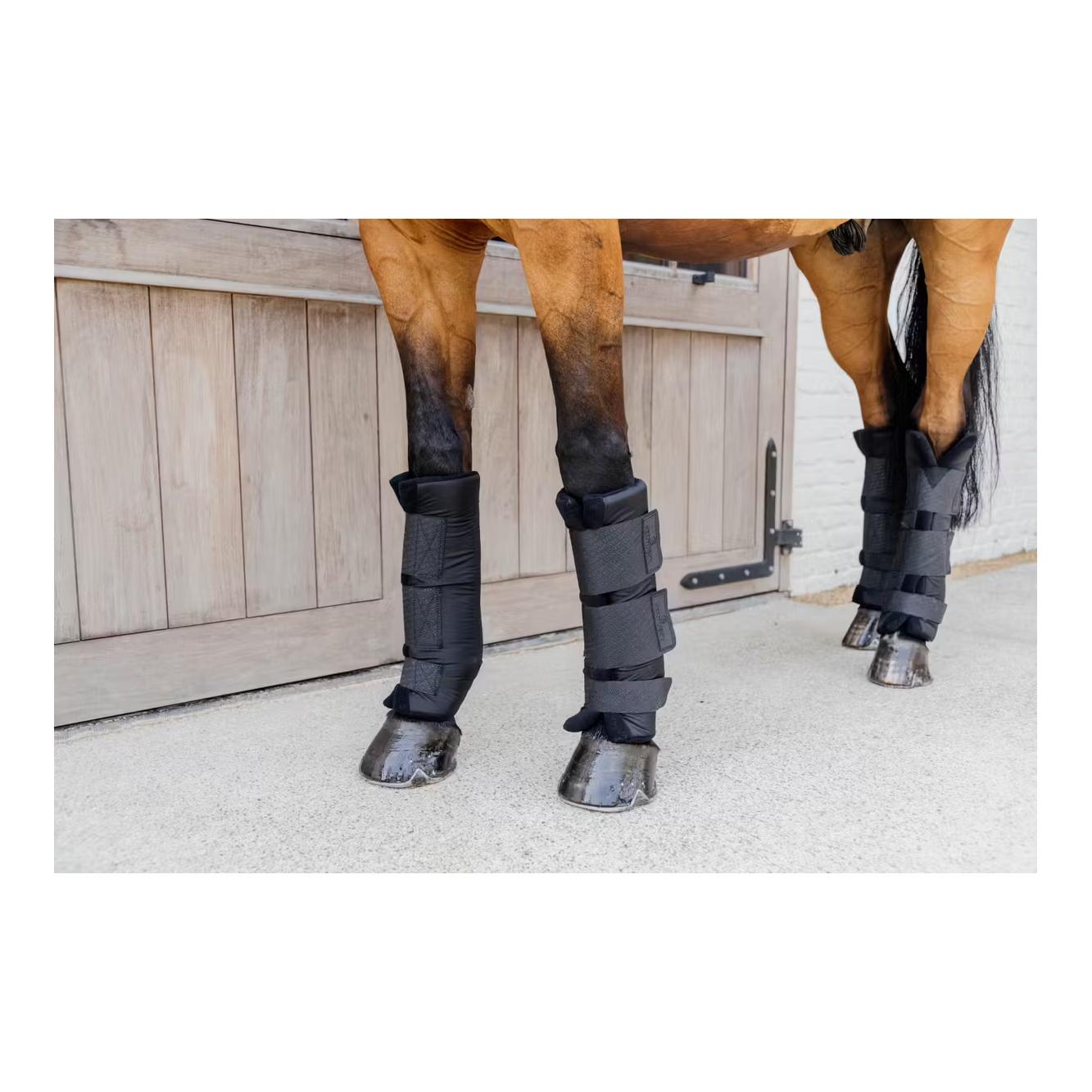 Stallgamaschen PROtect classic vorne Stallgamaschen PROtect classic vorne
