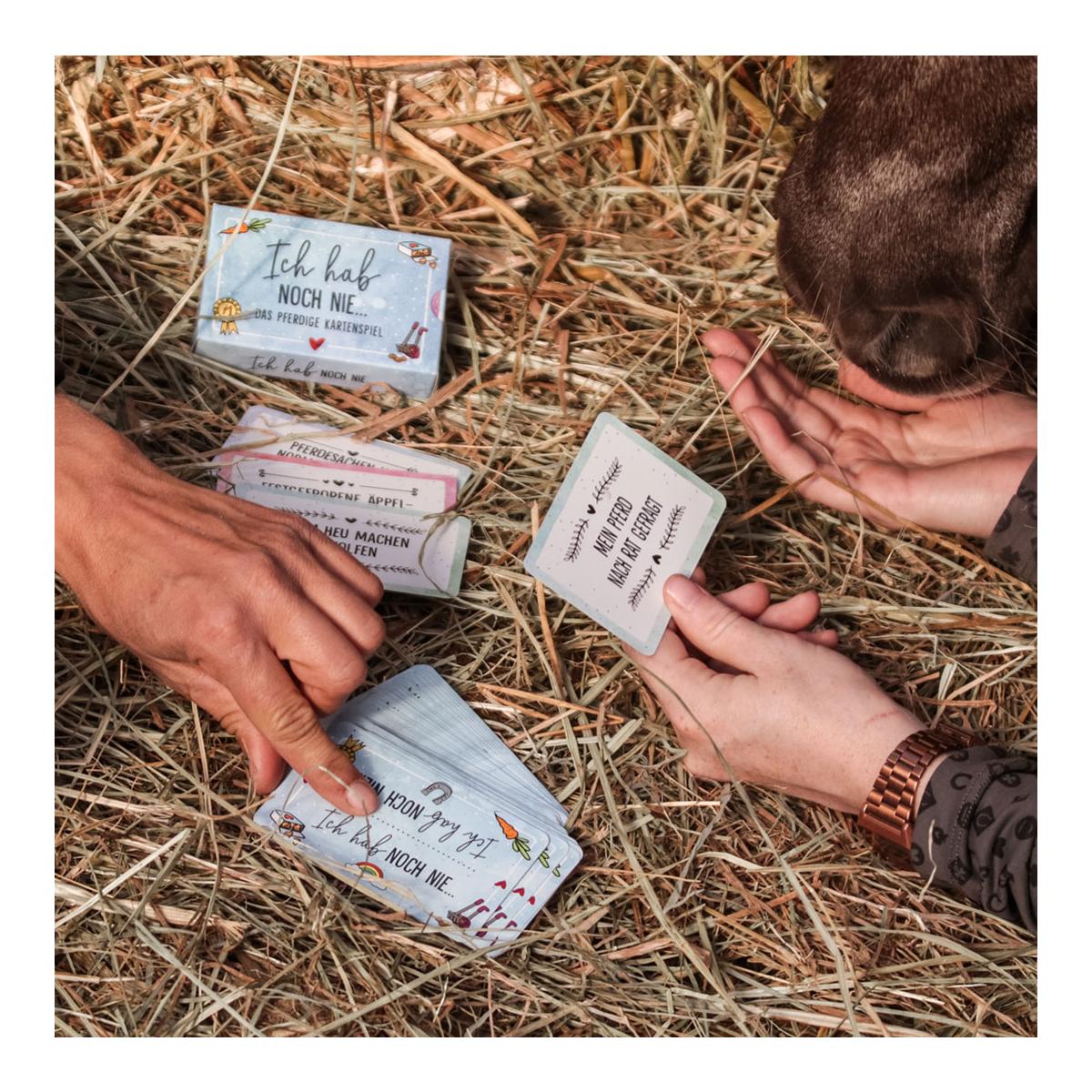 "Je n'ai jamais" jeu de cartes | Stalledition