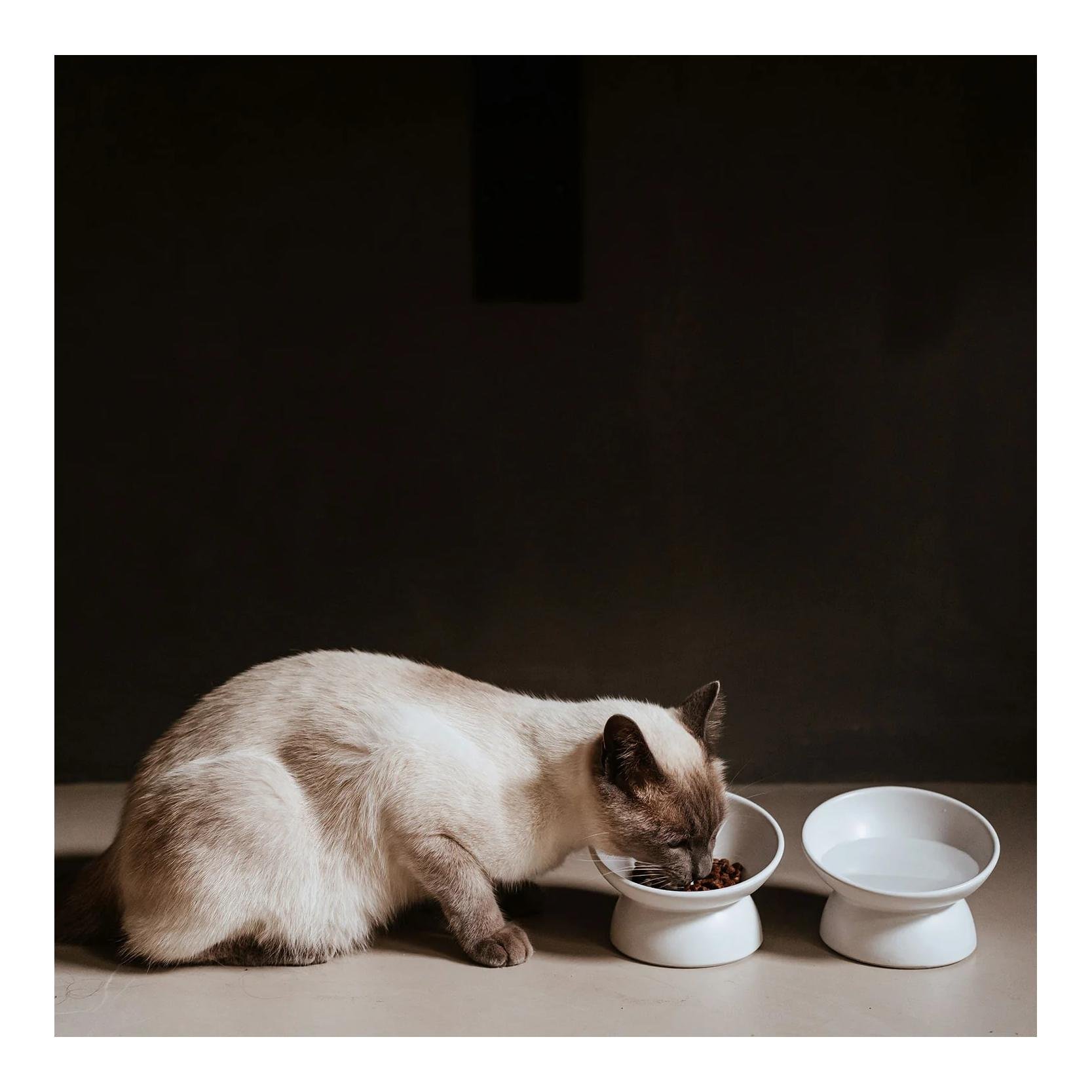 Stylecats by Hunter Gamelle pour chat en céramique Langa