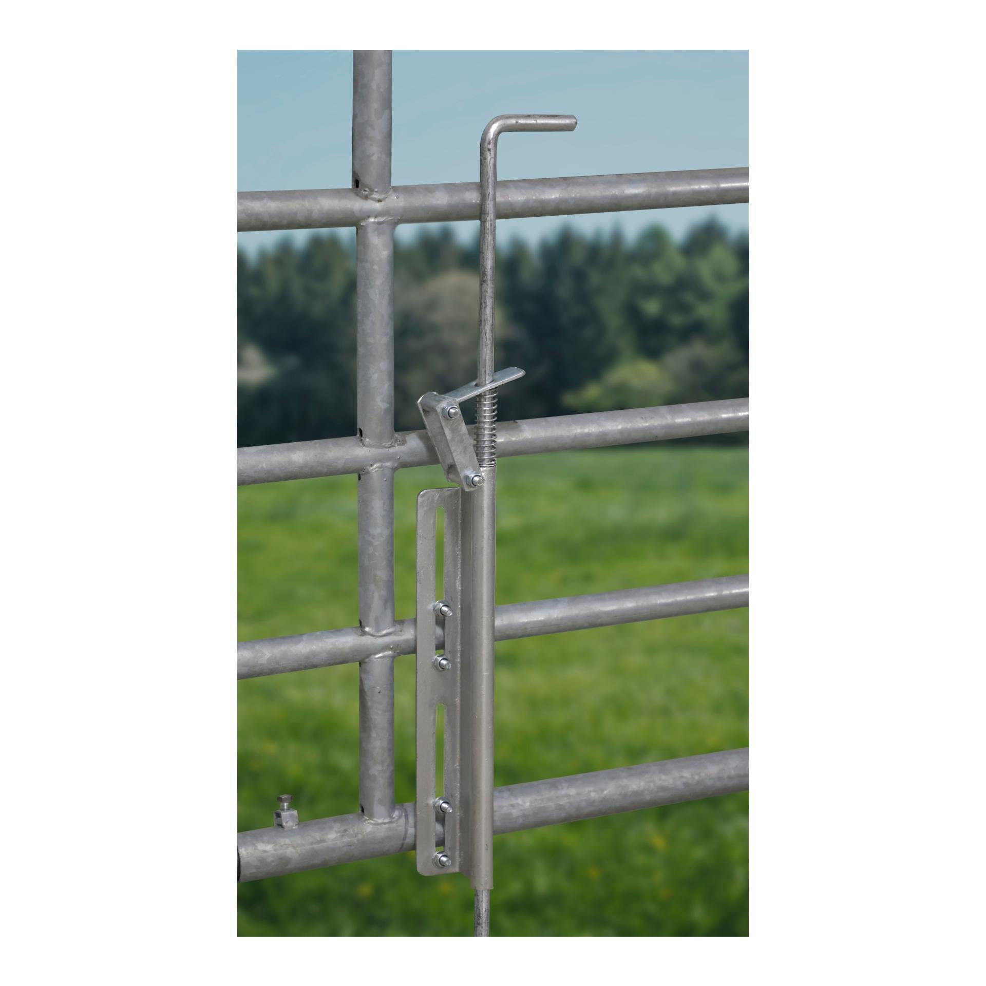 Feststelldorn für Weidetore