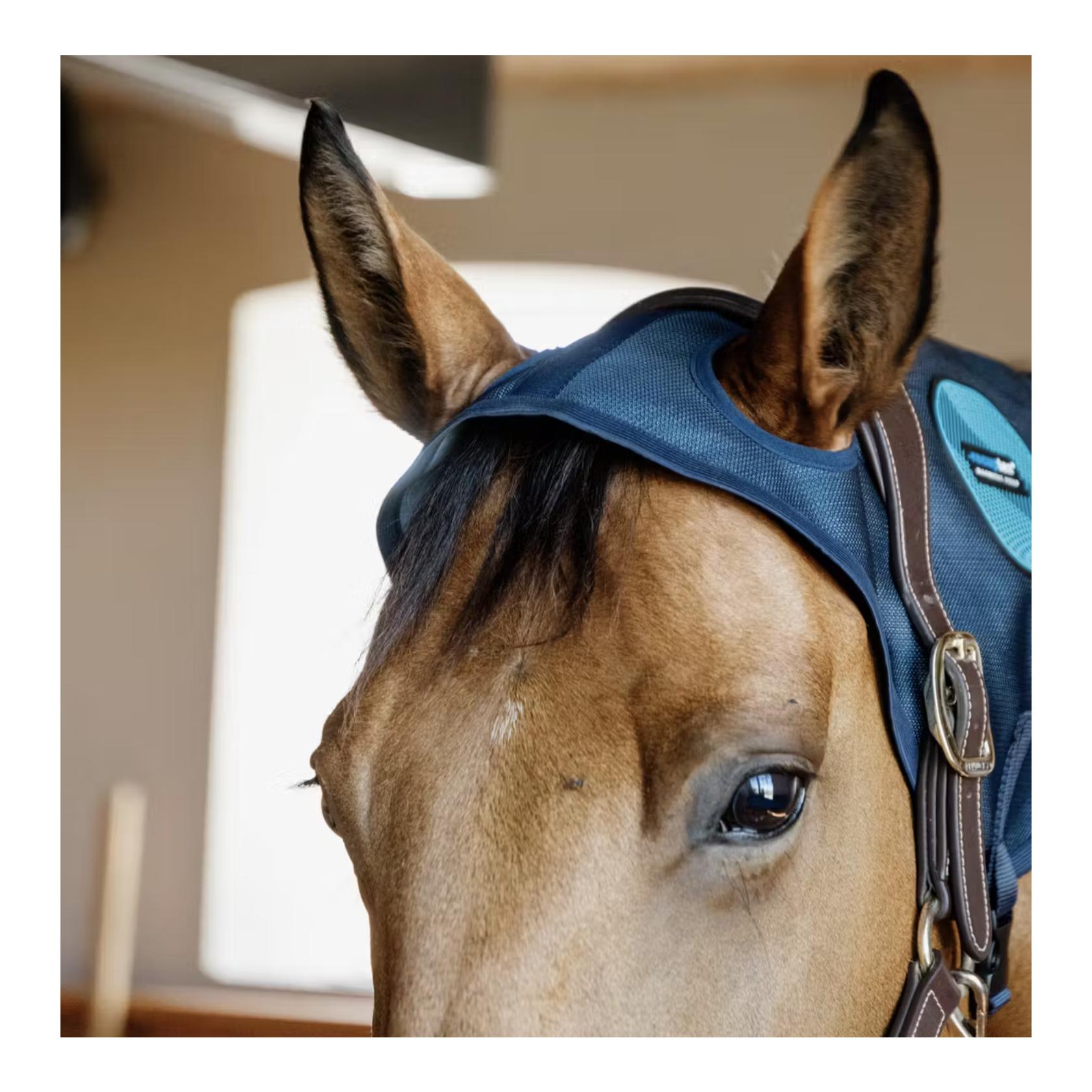 Kentucky Protège-nuque magnétique Recuptex