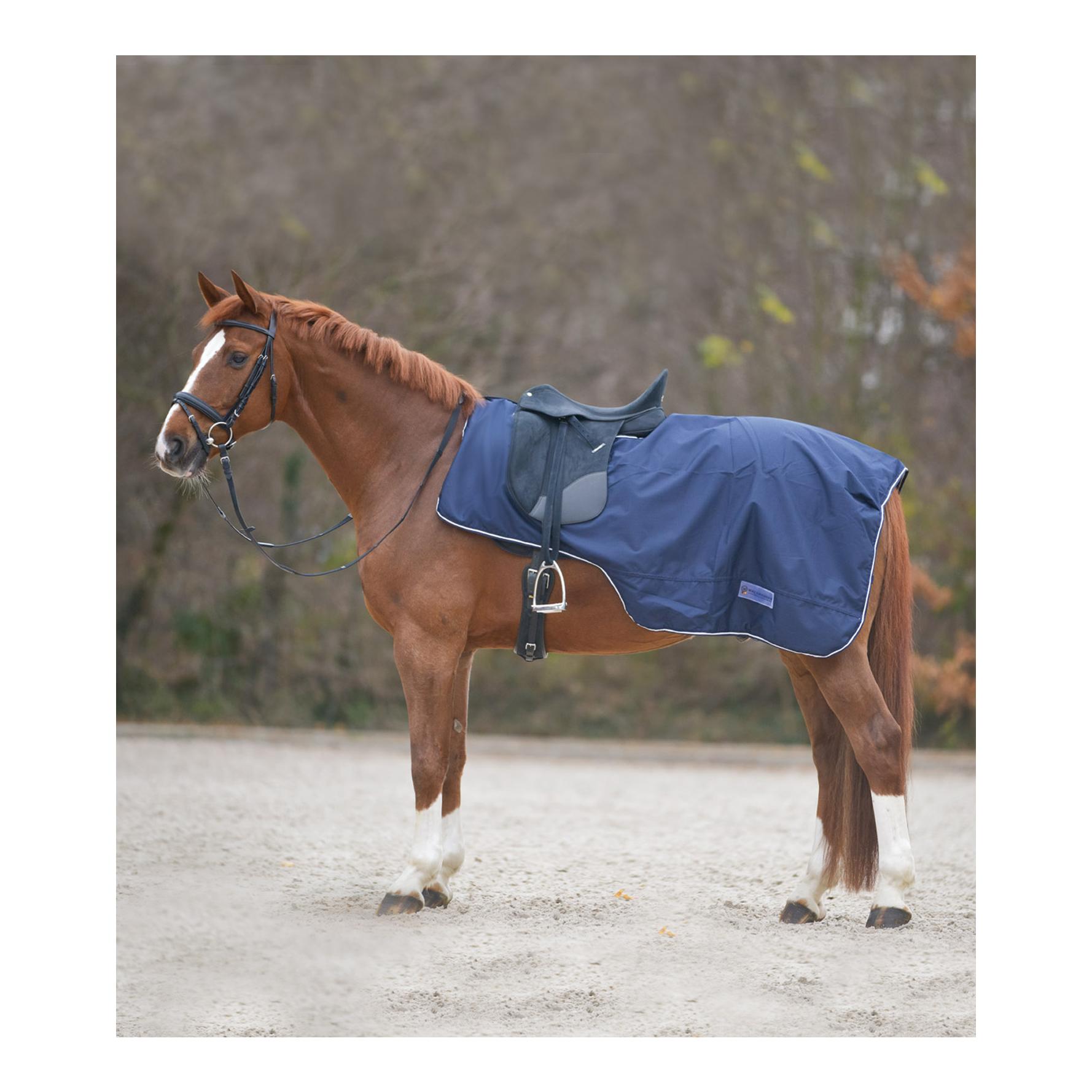 Regenset Regenmantel Fehmar + Ausreitdecke Comfort