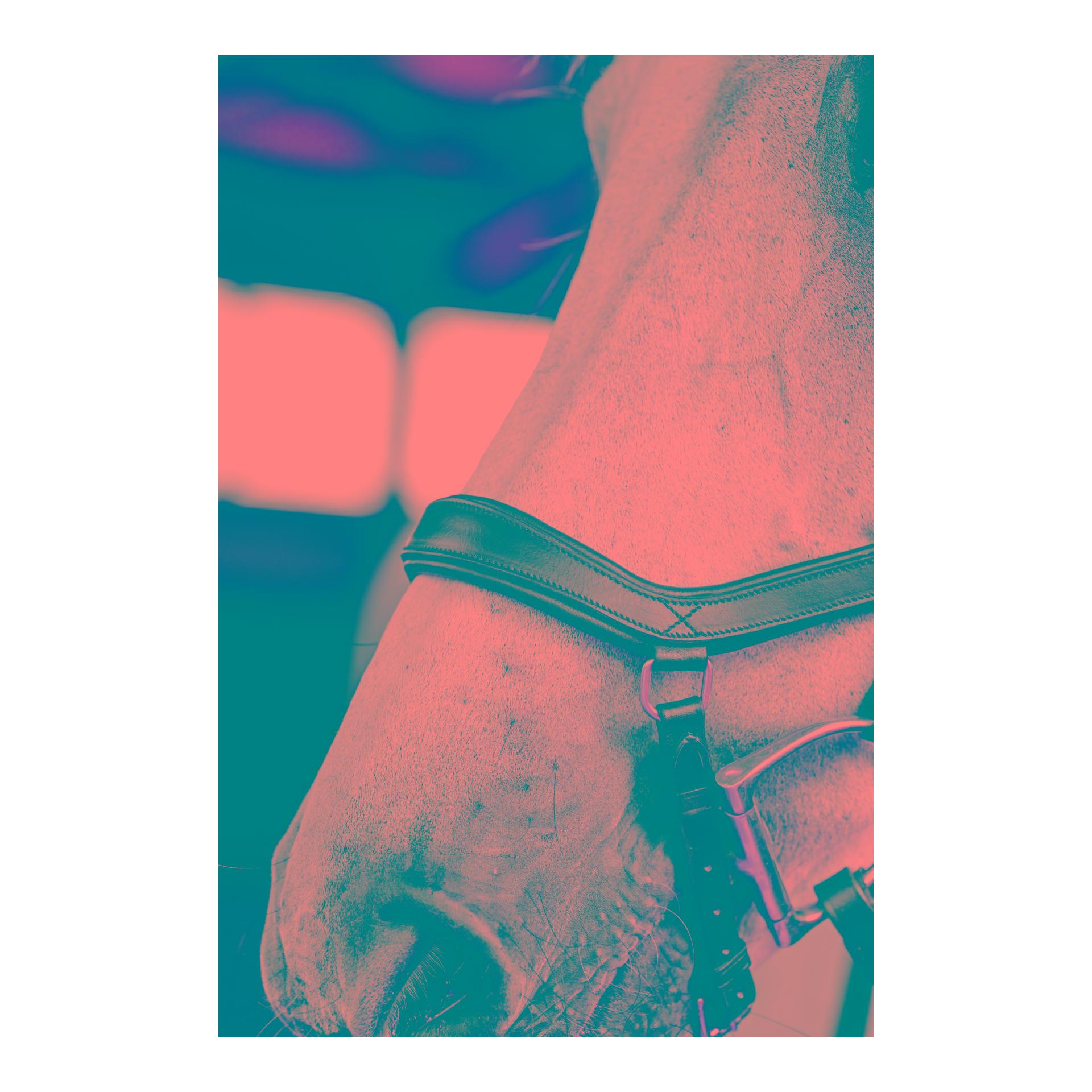 Horseware Bridon de compétition Micklem Diamante