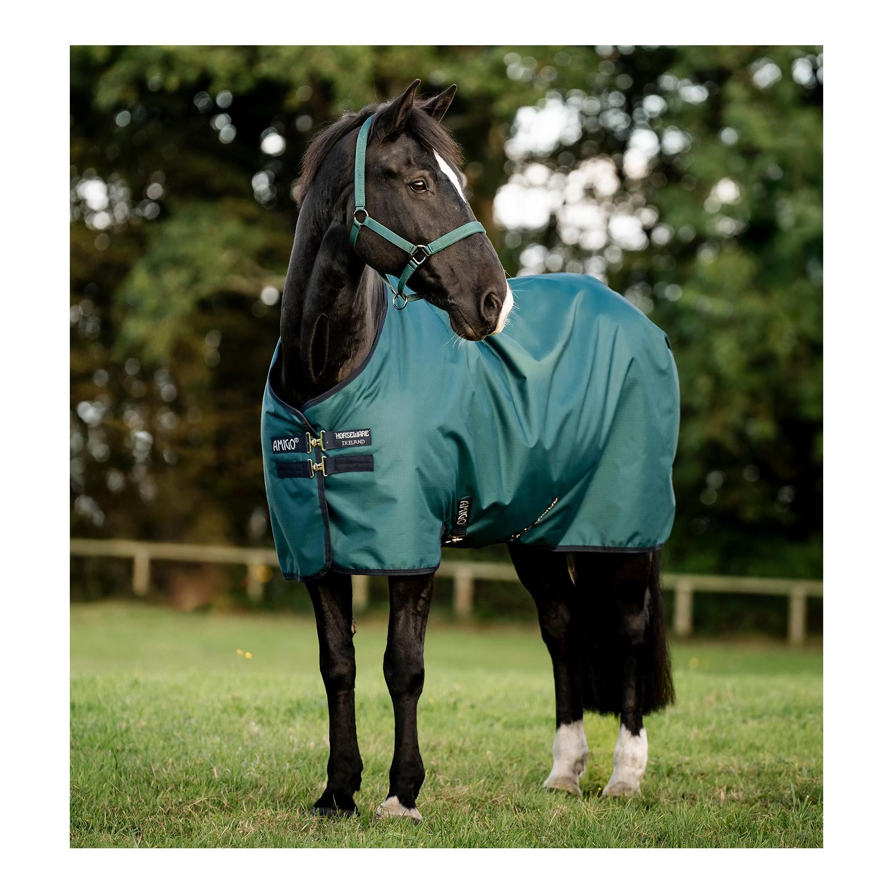 Dynasty Green/Navy & Silver