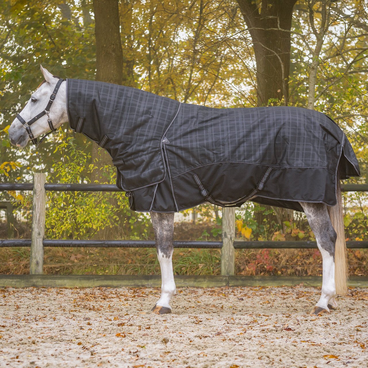 Turnoutdecke Collection mit abnehmbarem Hals 150g Turnoutdecke Collection mit abnehmbarem Hals 150g