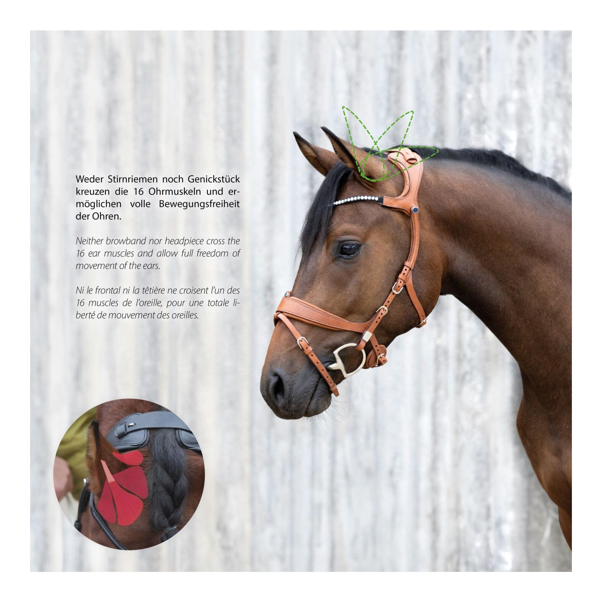 Zaum Freedom II Magic Tack mit Slide&Lock Zaum Freedom II Magic Tack mit Slide&Lock