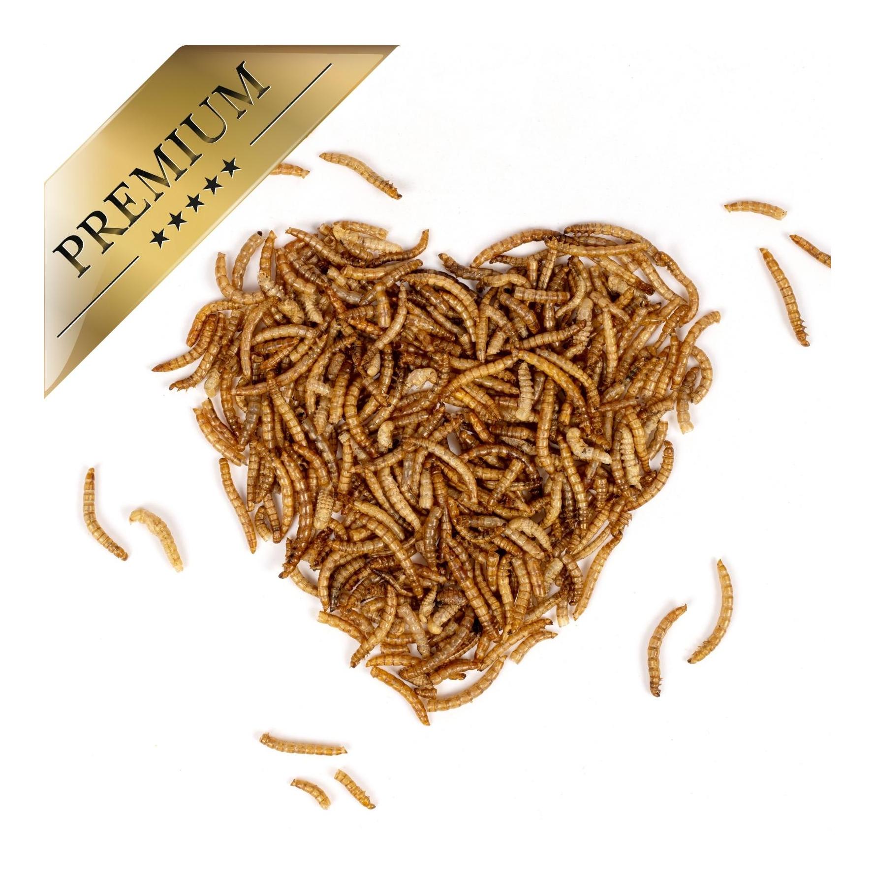 Mehlwürmer getrocknet