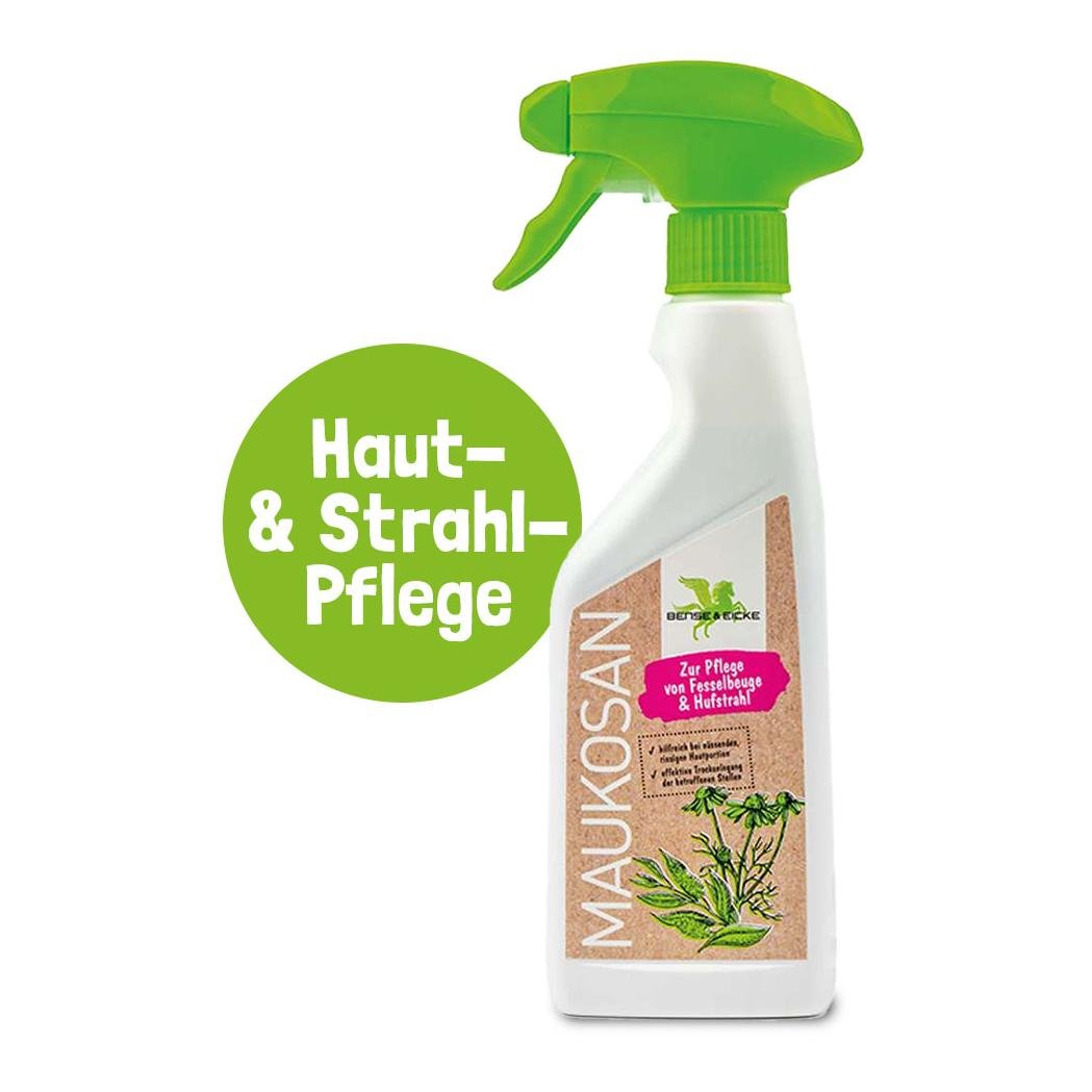 Spray de mastication