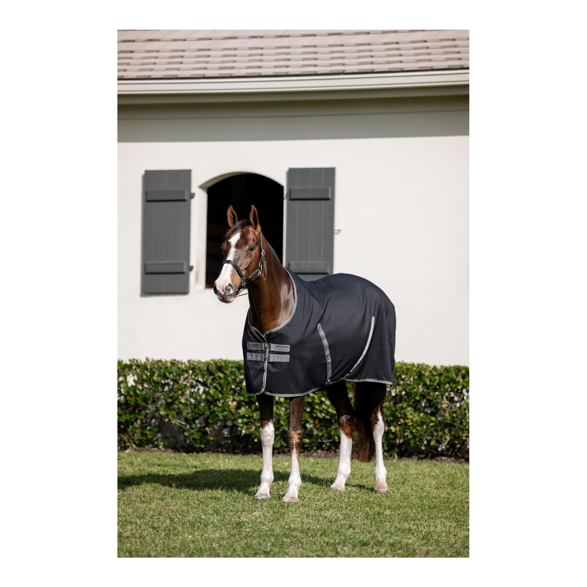 Stalldecke Rambo