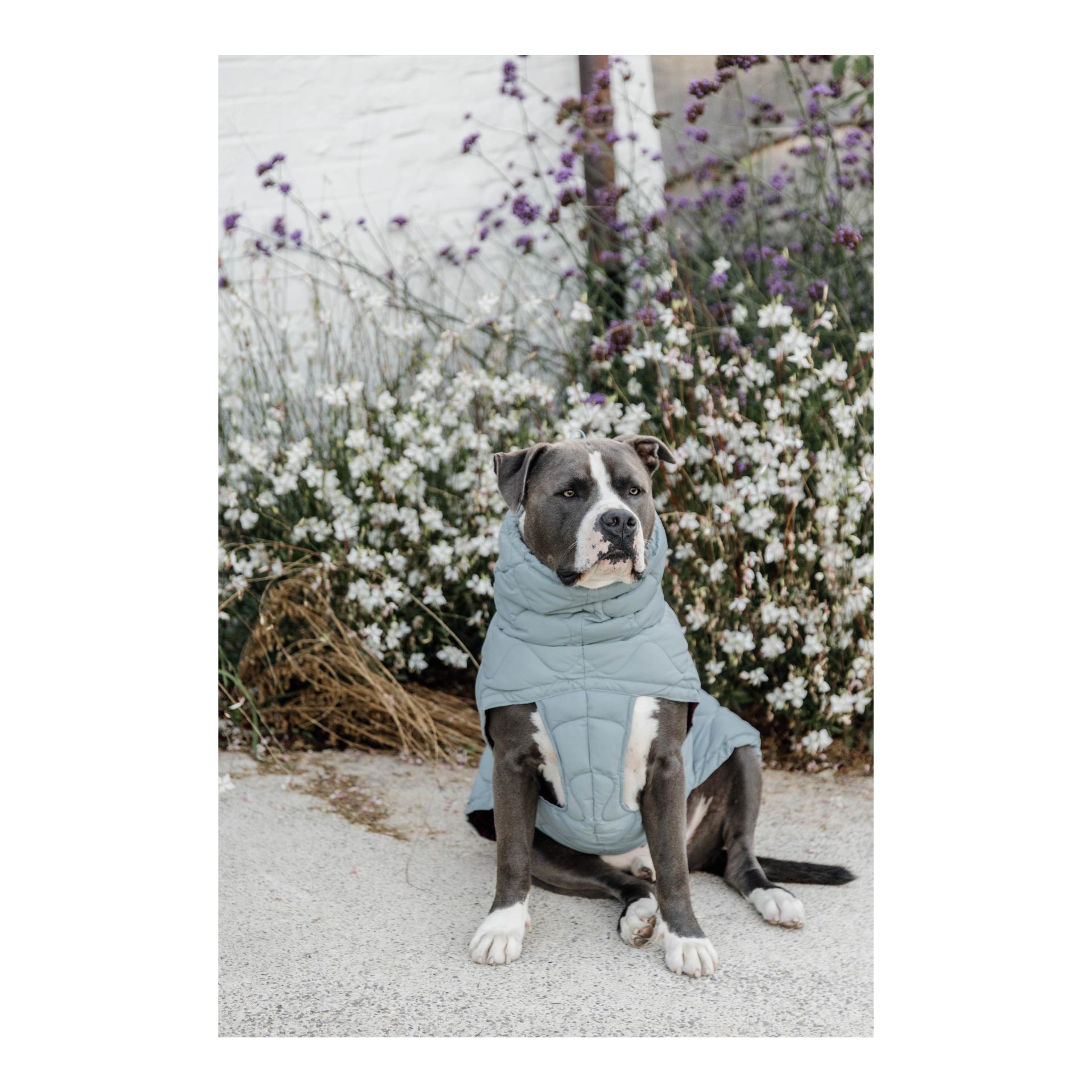 Manteau pour chien Pina - 160g