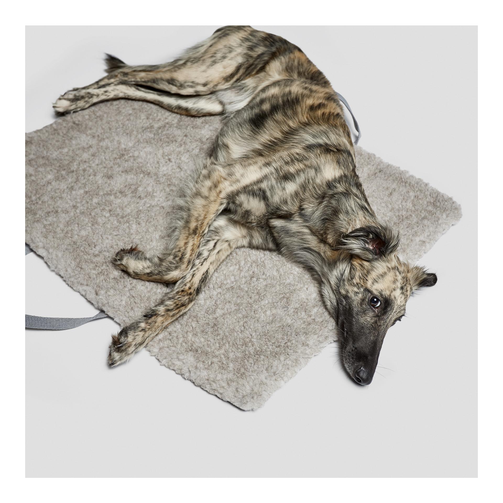 Hunde-Reisebett Tweed Taupe / Wolle - Polyester Hunde-Reisebett Tweed Taupe / Wolle - Polyester