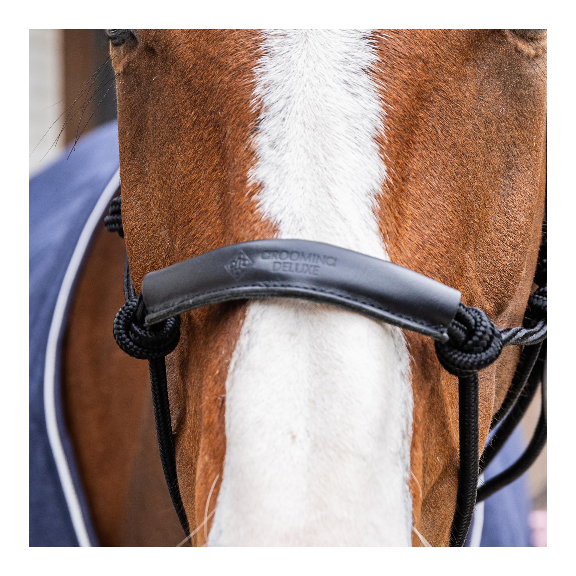 Grooming Deluxe Knotenhalfter
