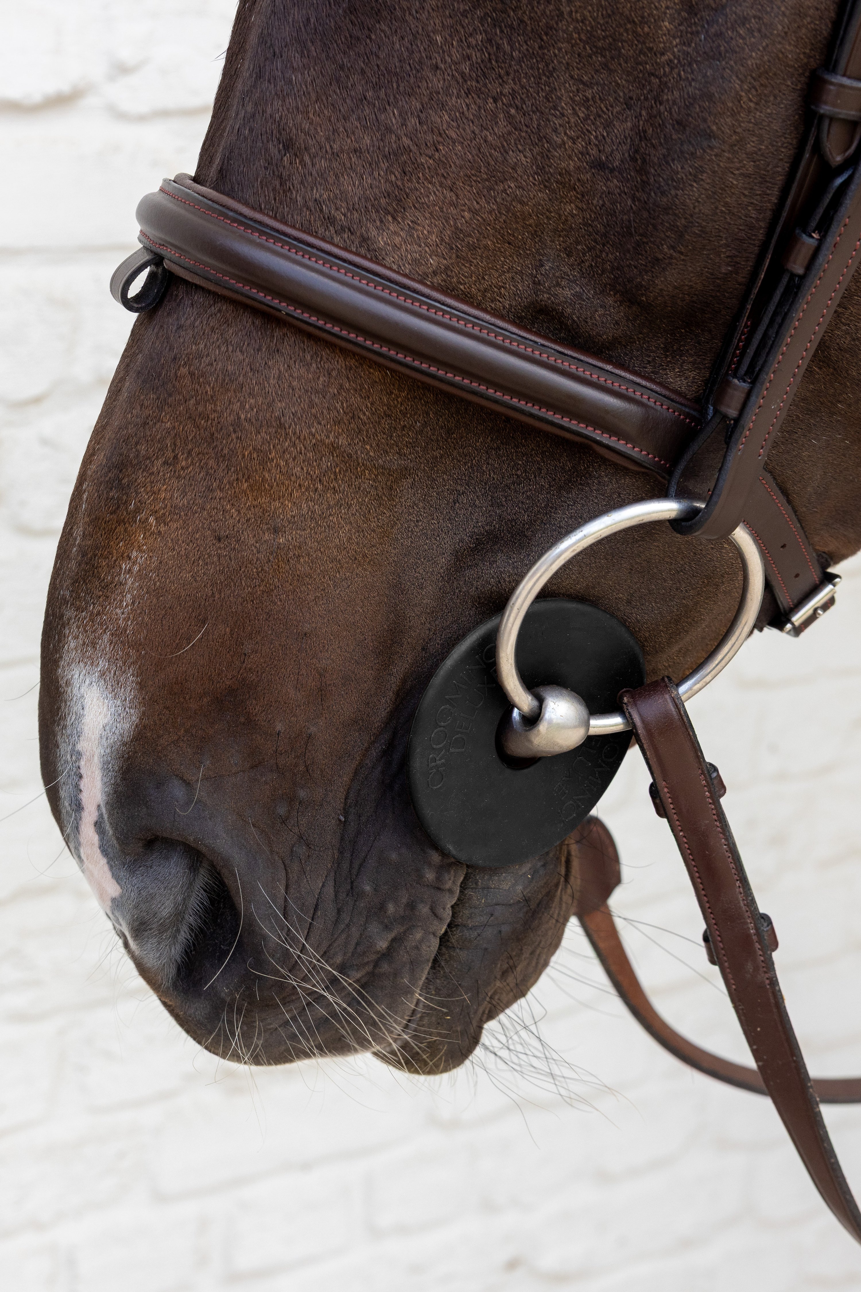 Grooming Deluxe Silikon-Gebissscheiben