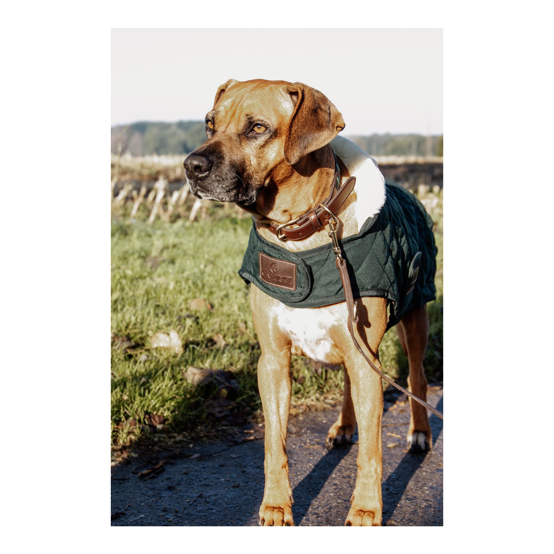 Hundemantel Original - dark green Hundemantel Original - dark green