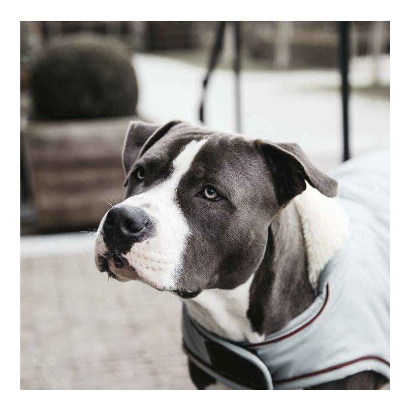 Hundemantel Wasserdicht 160g - Dusty Blue Hundemantel Wasserdicht 160g - Dusty Blue