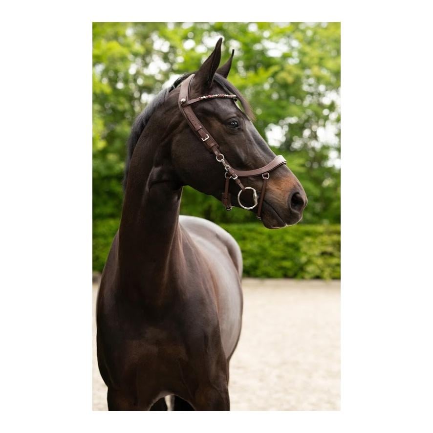 Bride FaySport – brun