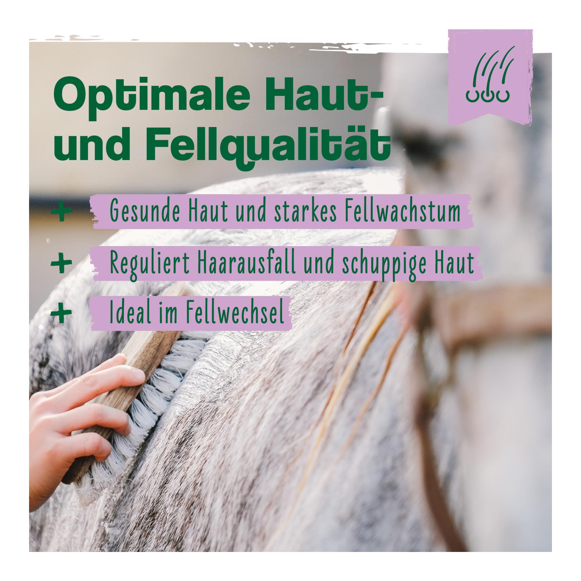 IdaPlus Biotin + Zink für Pferde - hochdosiert - verbessert Hufqualität & Hufwachstum 