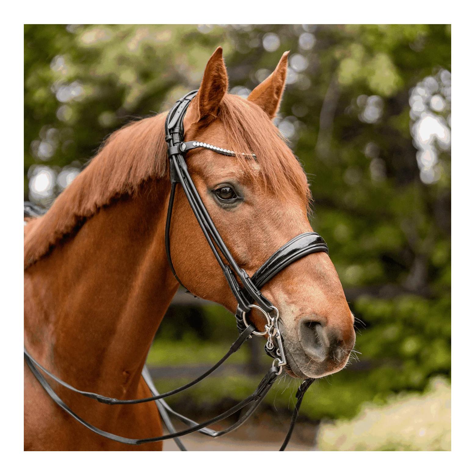 Sprenger Bemelmans Reitkandare 14 mm - Sensogan