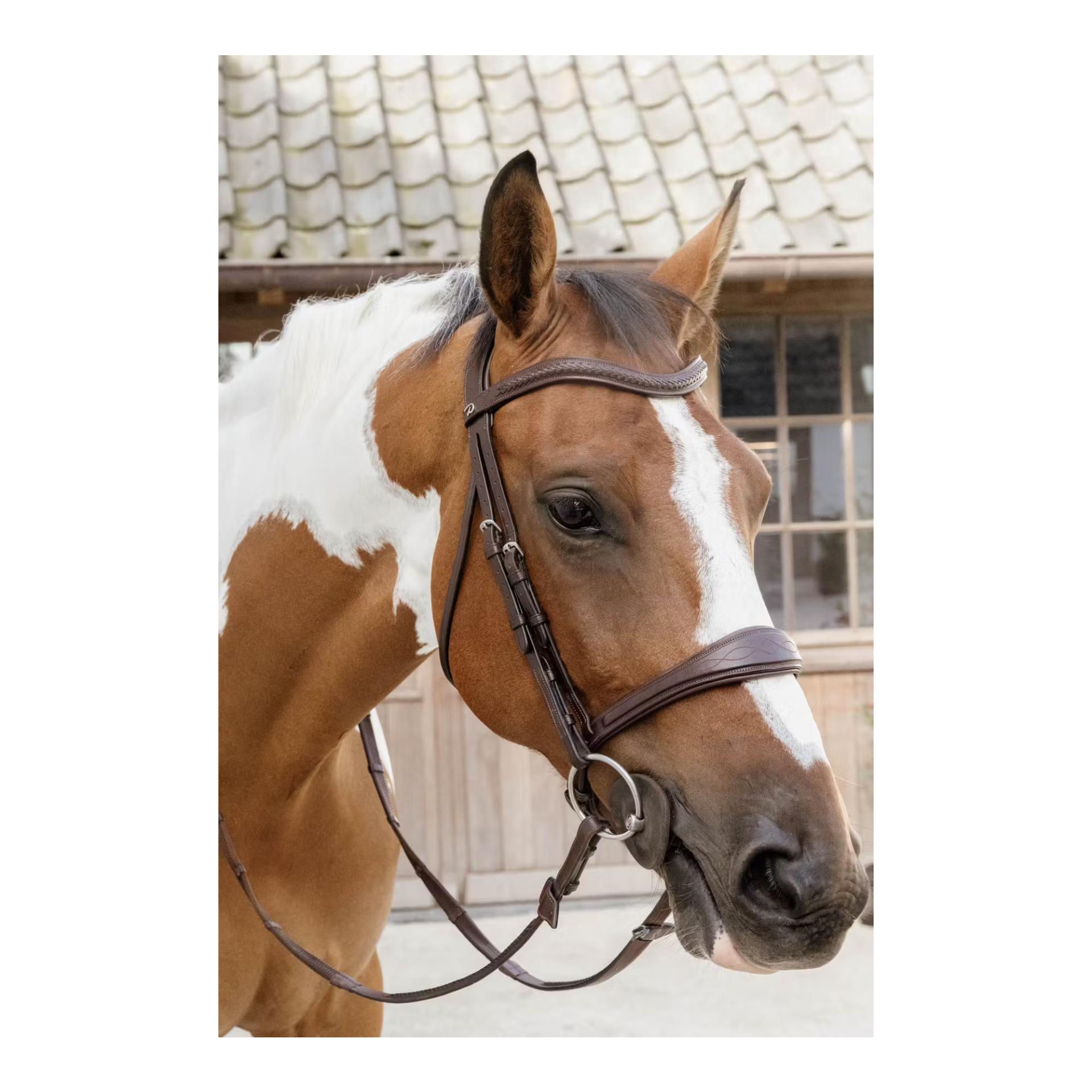 Anatomic noseband without flash Anatomic noseband without flash