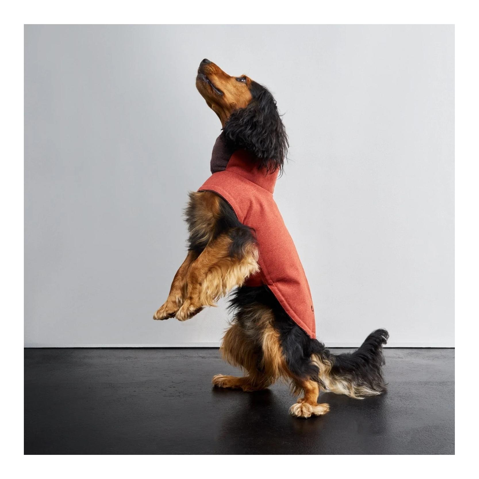 Winter Hundemantel Brooklyn Regulär