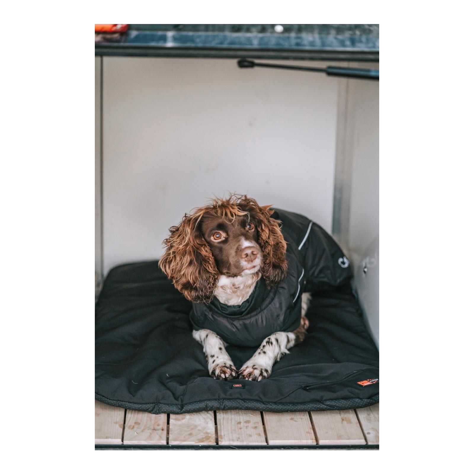 Catago Hundekissen beheizt FIR-Tech Pro