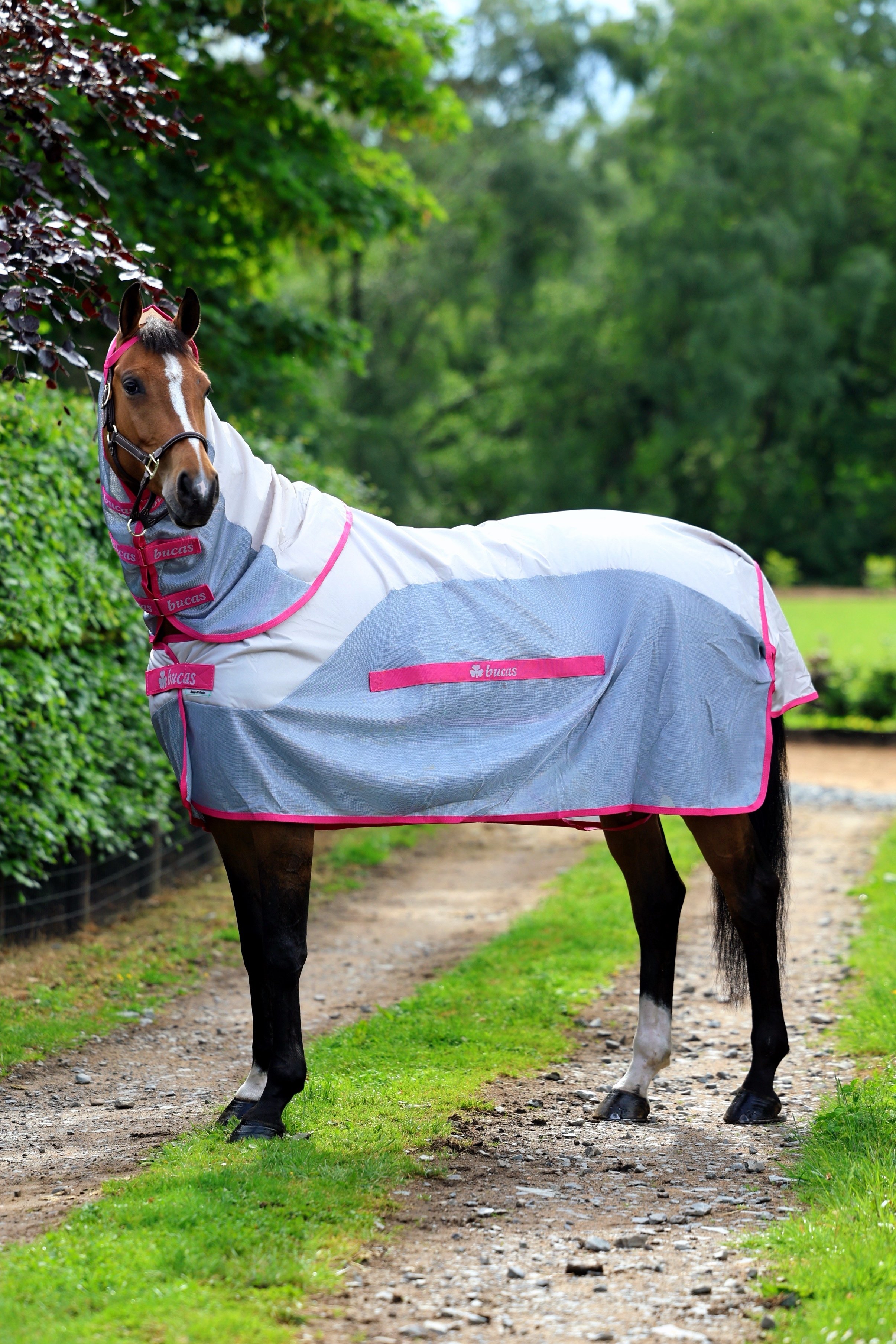 Bucas Regen- und Fliegendecke Buzz-off Rain & Neck