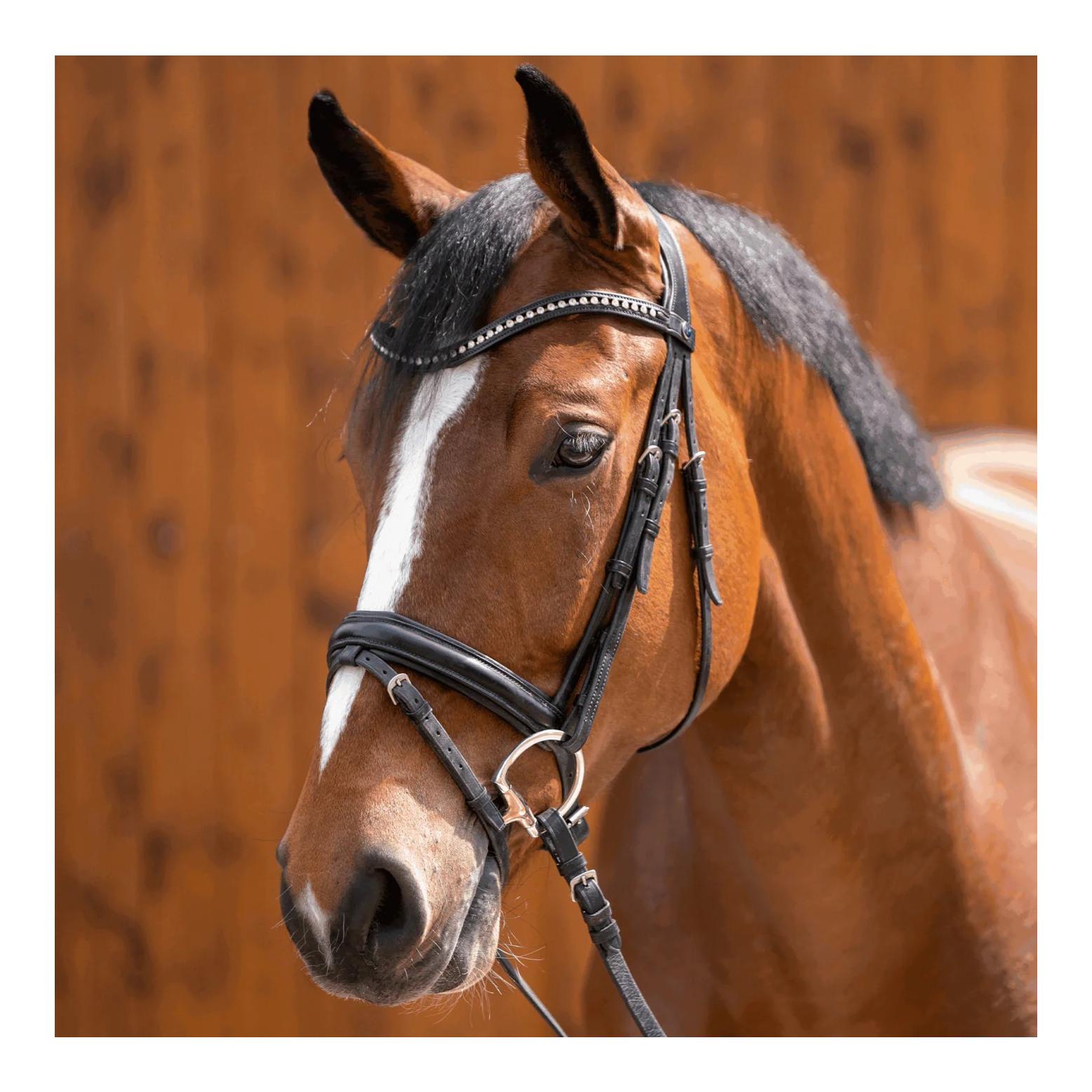 Sprenger Dynamic RS Olivenkofgebiss mit D-förmigem Ring 16 mm einfach gebrochen