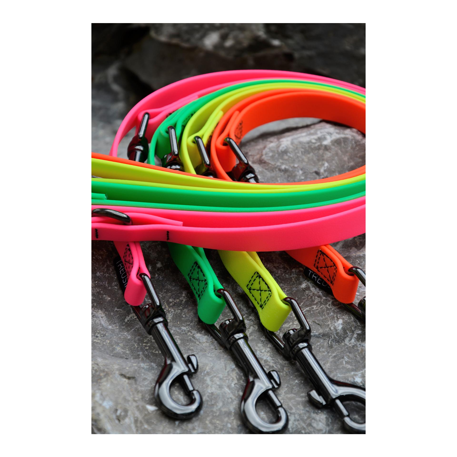 Treusinn. Laisse pour chien Biothane STAY réglable, 2m