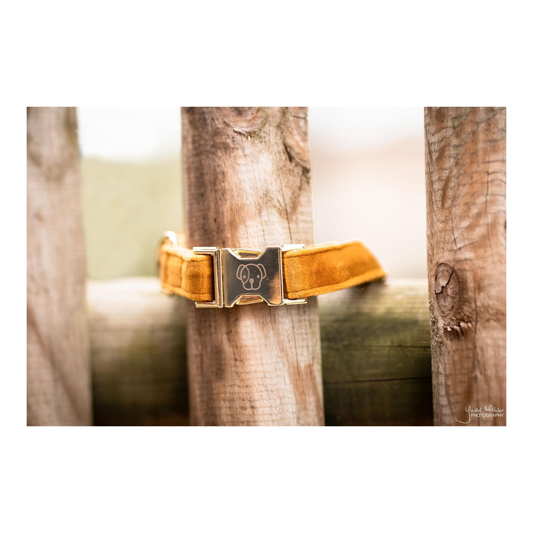 Hundehalsband Velvet - mustard Hundehalsband Velvet - mustard