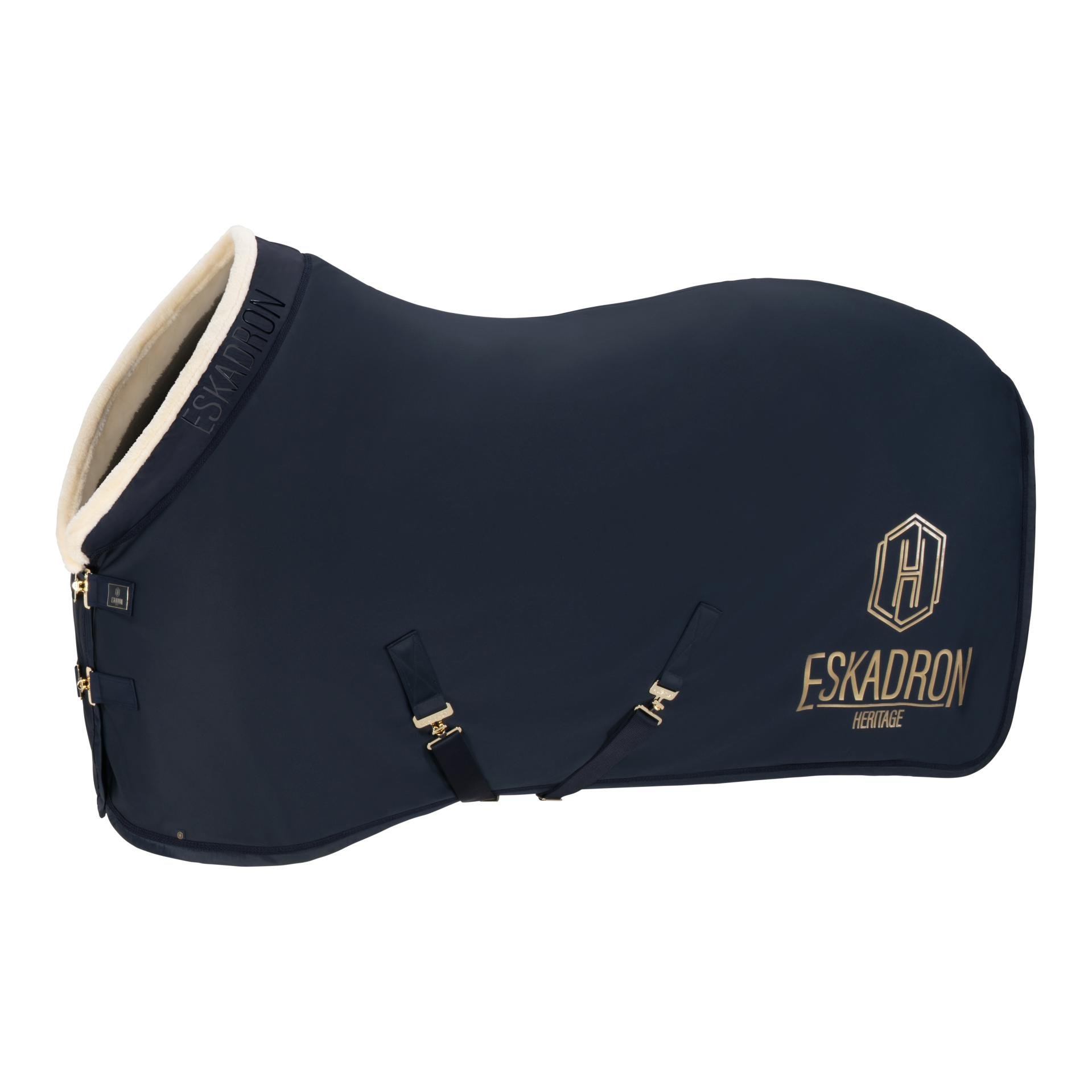 Abschwitzdecke Aerial Jersey Heritage 25/26