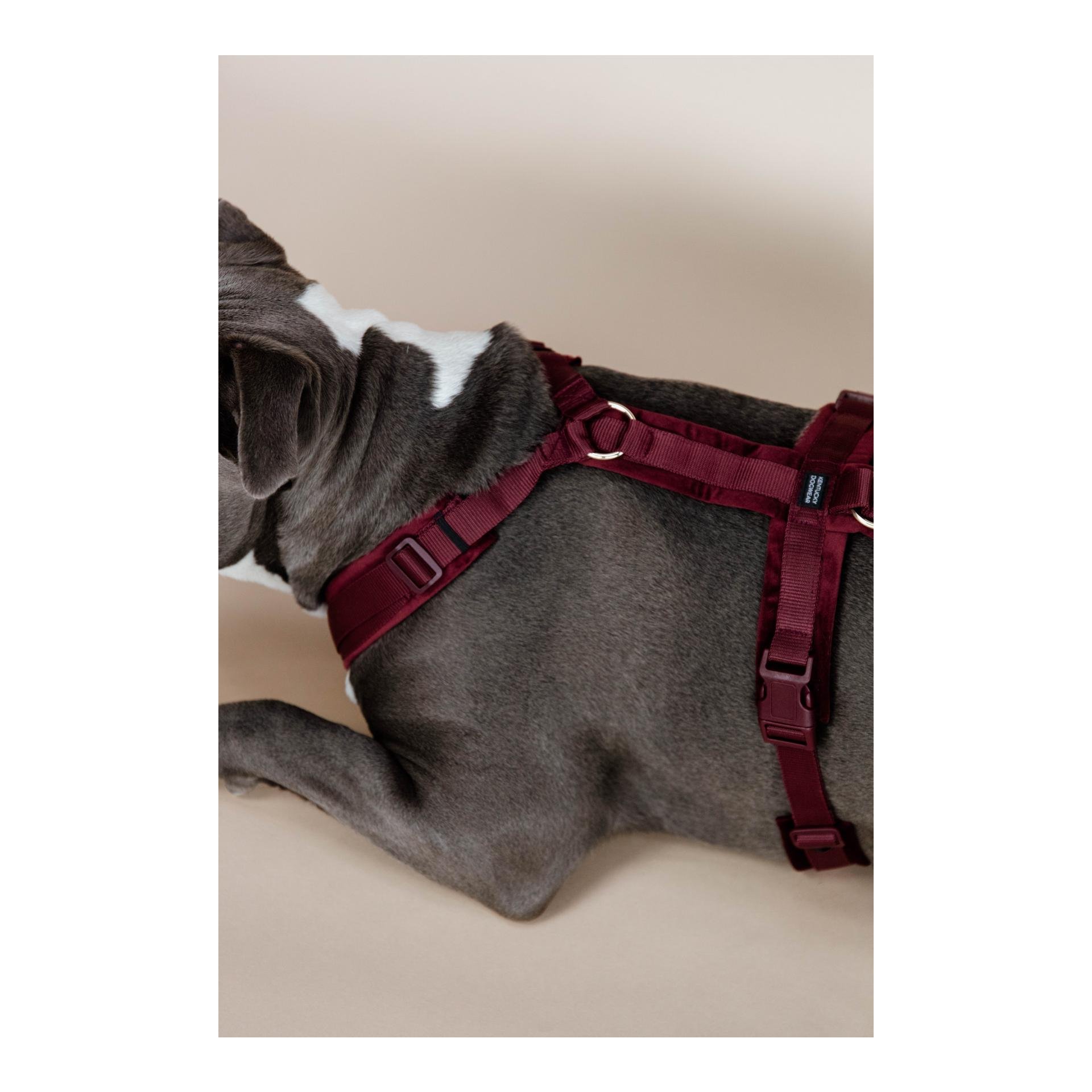 Hundegeschirr Active Velvet Hundegeschirr Active Velvet