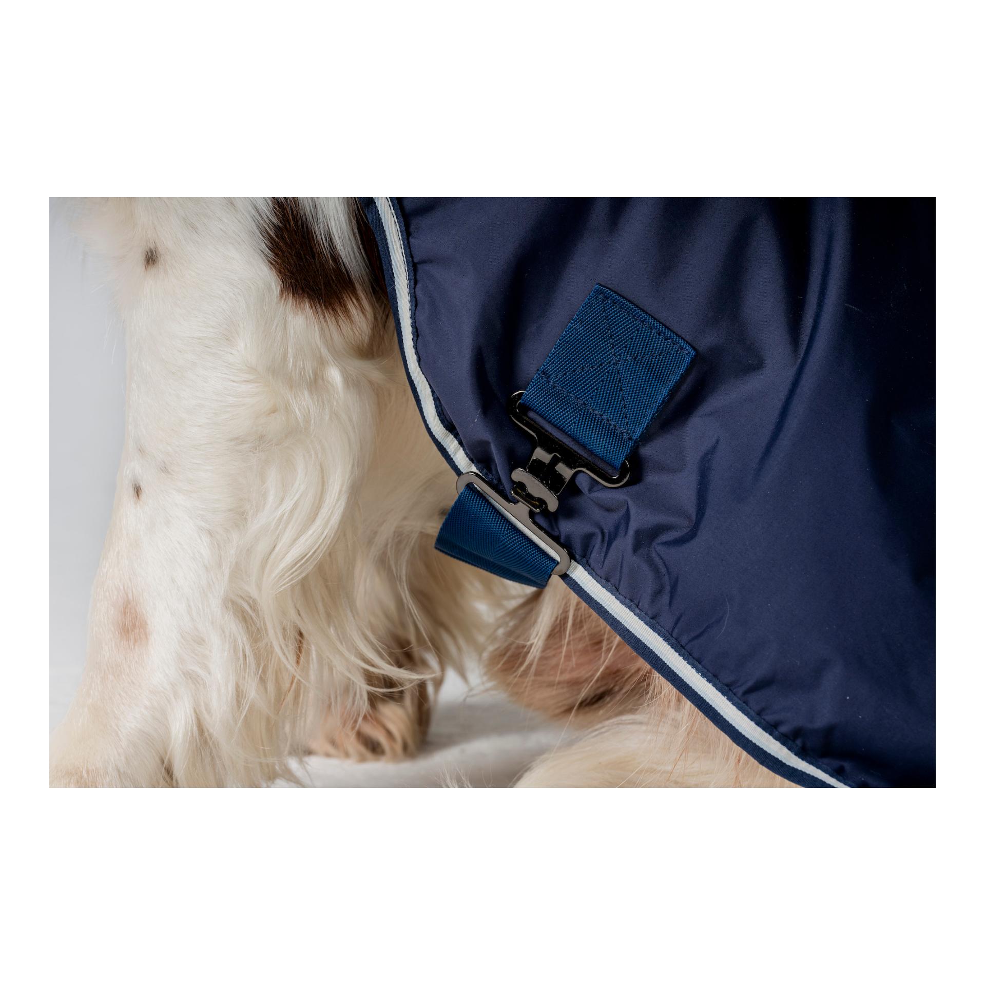 Hundedecke Newmarket