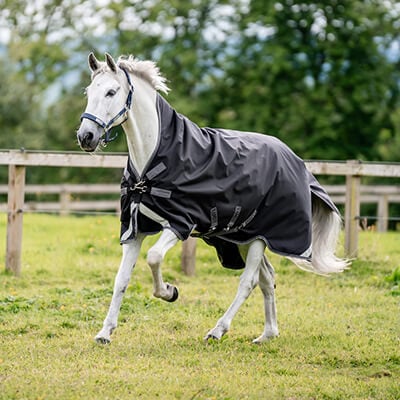 RS-KAT-Weidedecken_uebergangsdecken RS-KAT-Weidedecken_uebergangsdecken