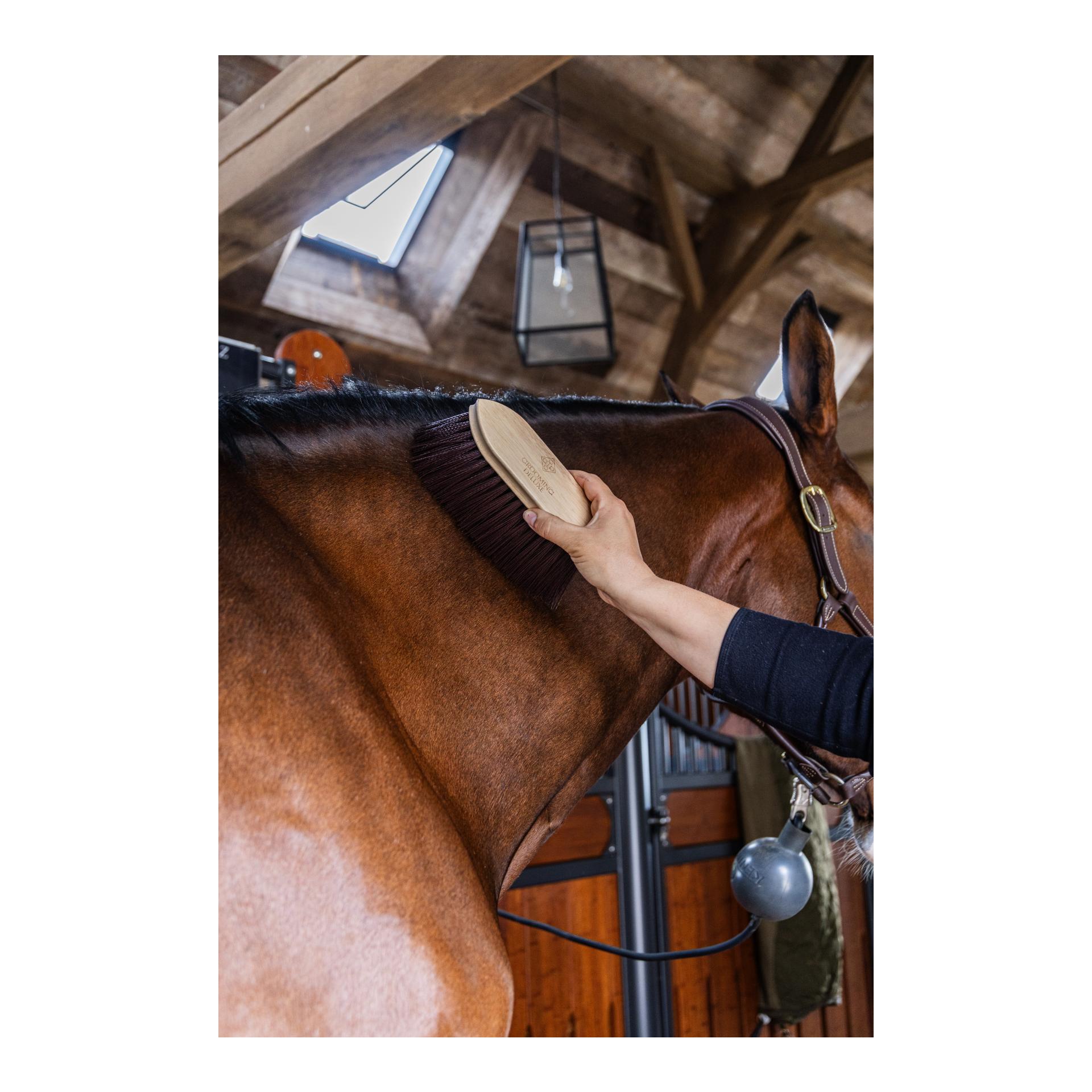 Grooming Deluxe Klassische Holz-Bürste – lang, weich