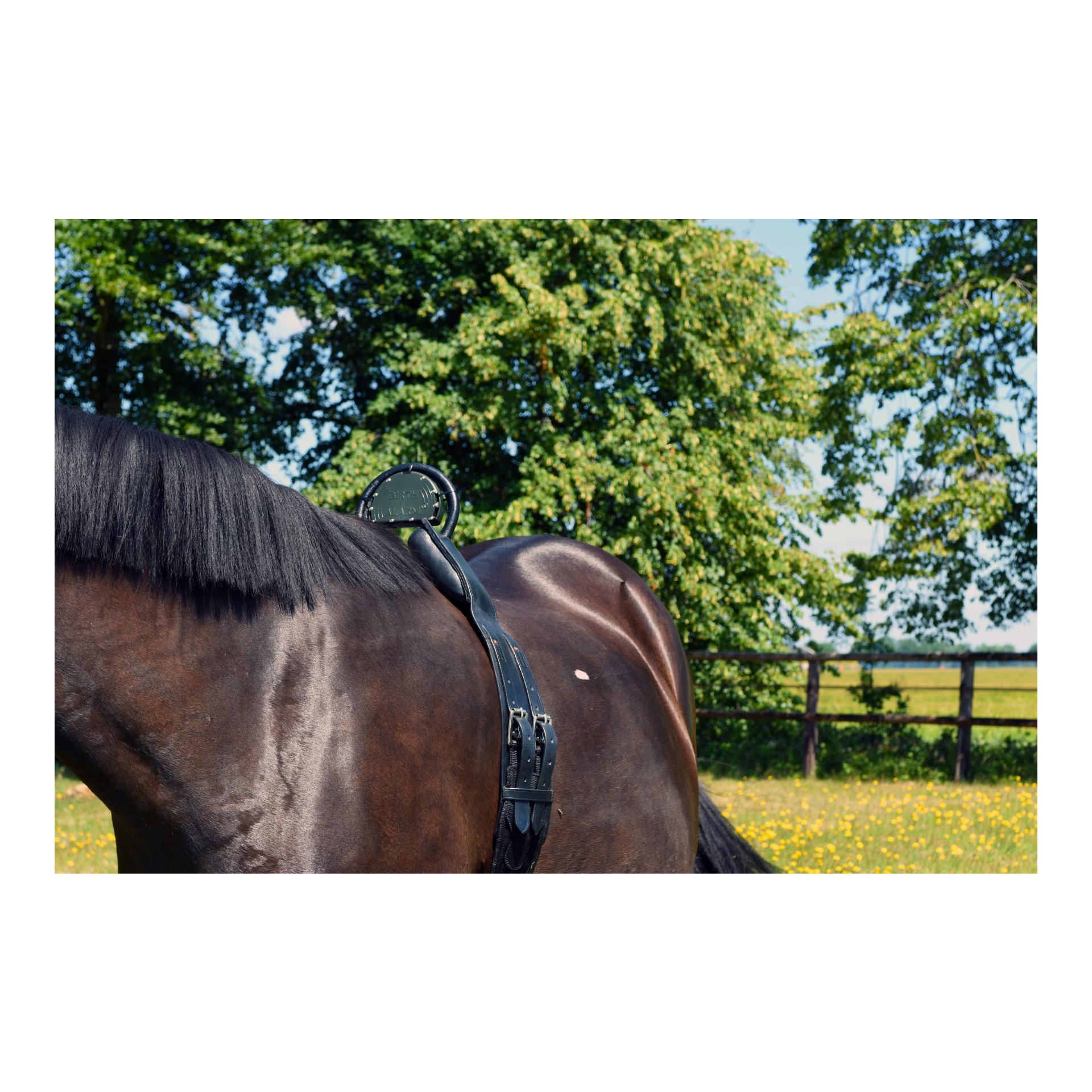 Birth Alarm Set - Birth Alarm Mobile 2.0 inkl. WiFi Kamera