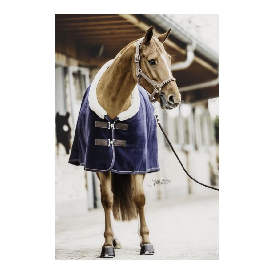 Abschwitzdecke Fleece Show - navy Abschwitzdecke Fleece Show - navy