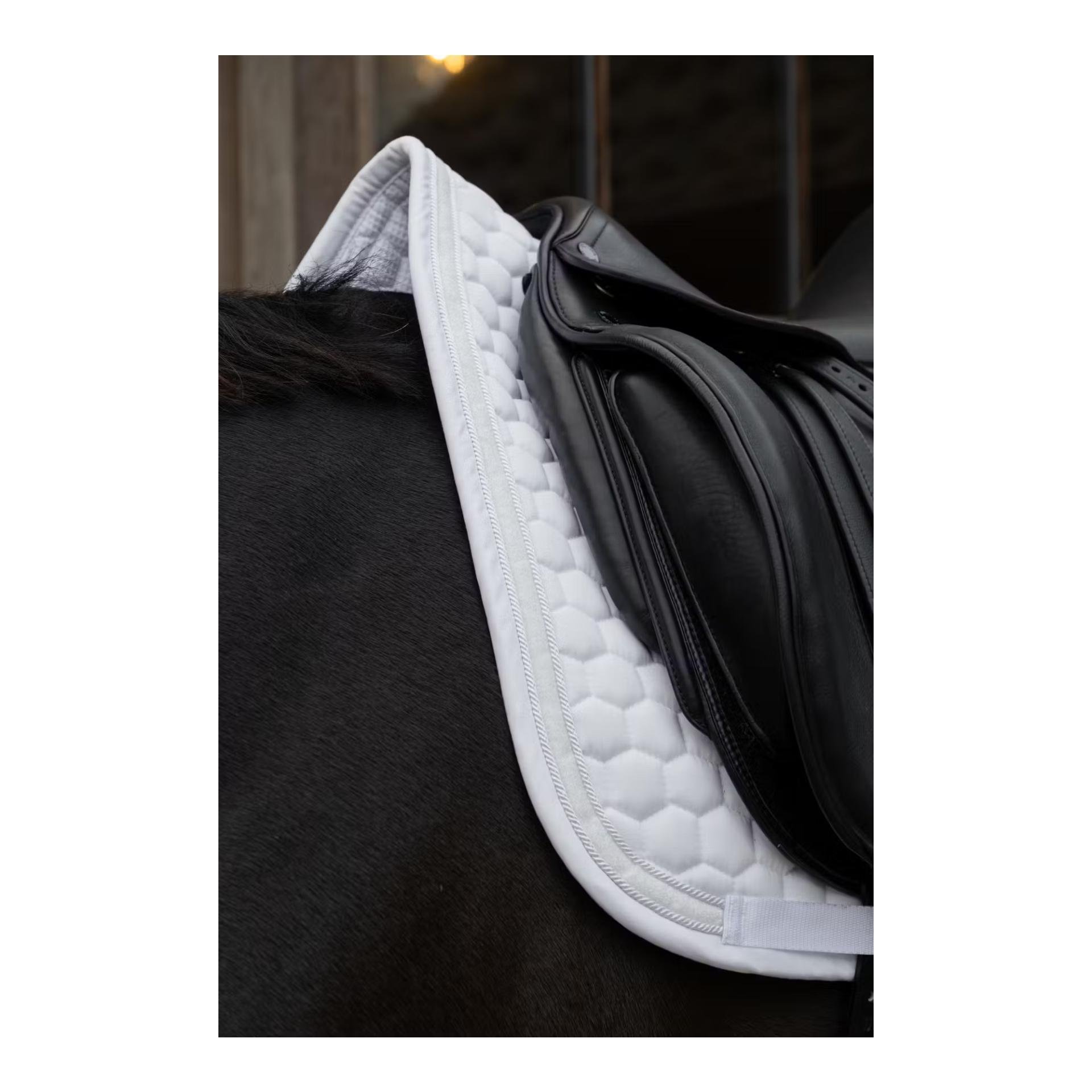 Schabracke glitzer band Dressur Schabracke glitzer band Dressur