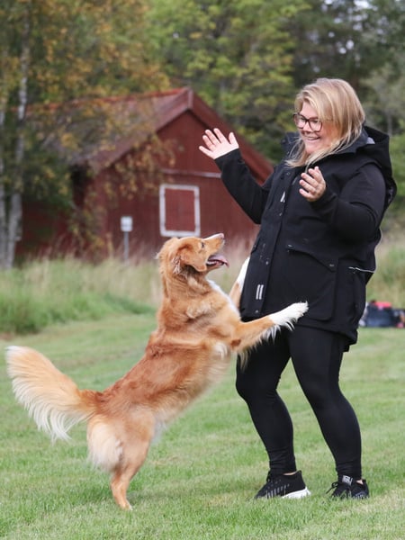 Uhip Hundeführer Weste Pro Dog