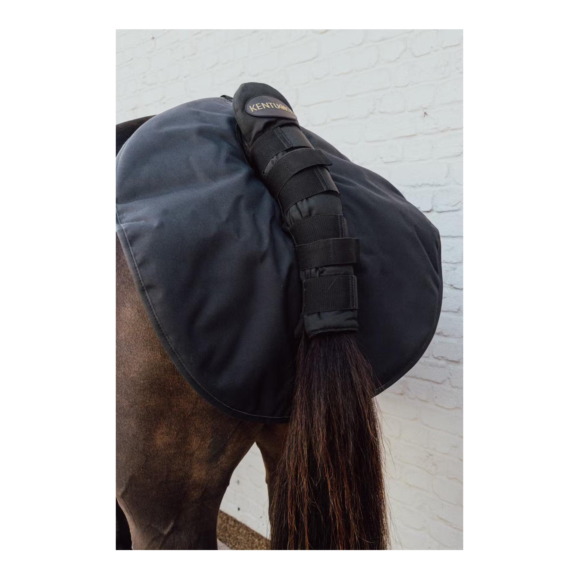 Kentucky Hinterhand Schutz