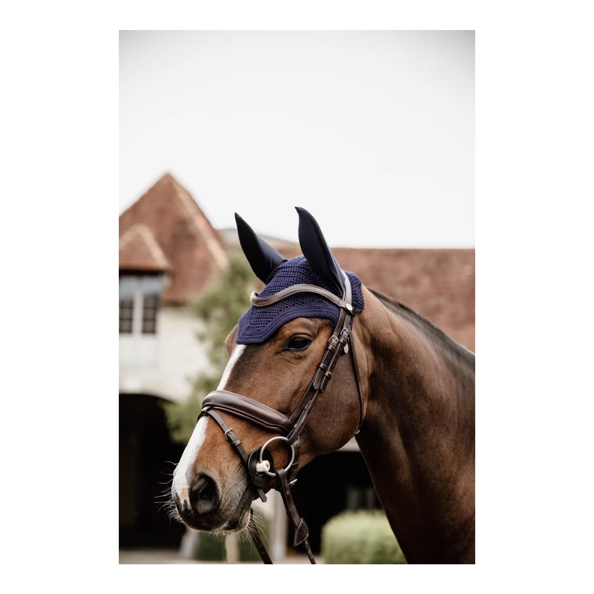 Fliegenhaube Wellington Large