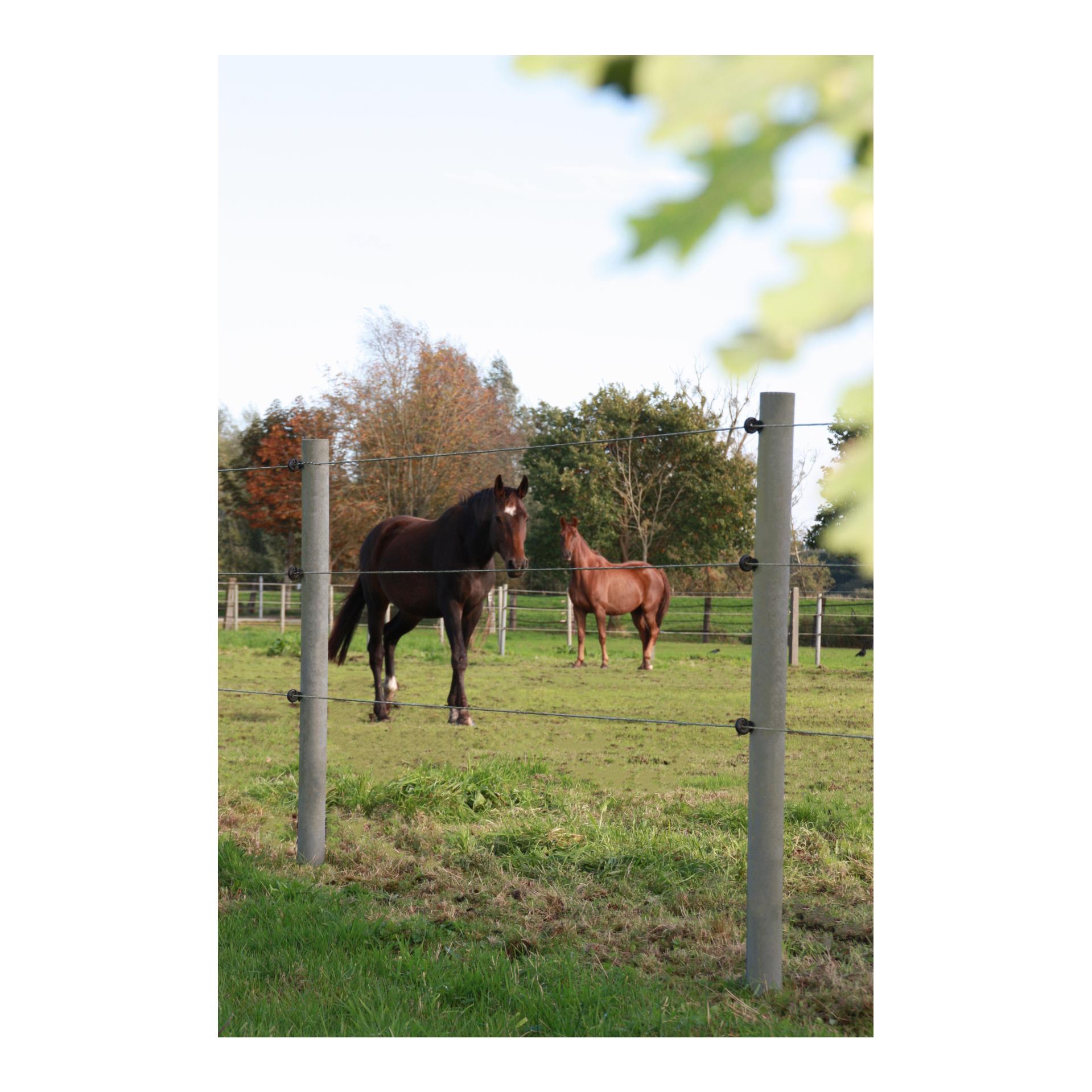 Hauptner Piquet recyclé