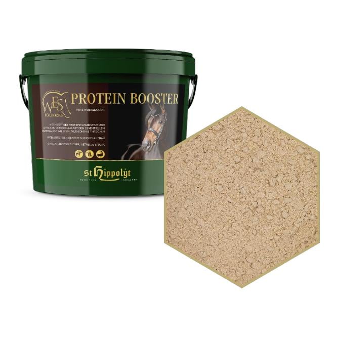 WES Protein Booster